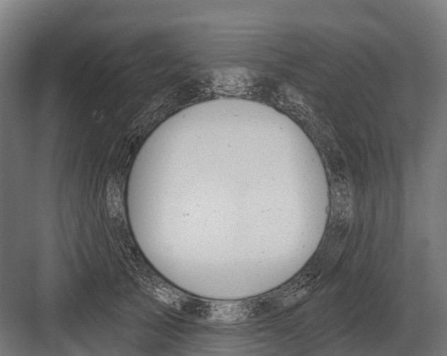 X0000081580705200702121448