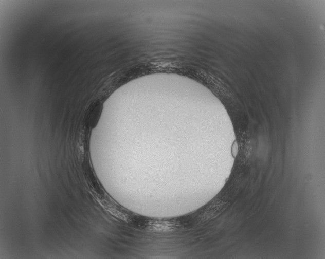 X0000081580710200702121448