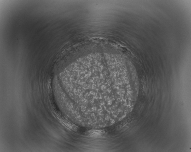 X0000081580711200702121448