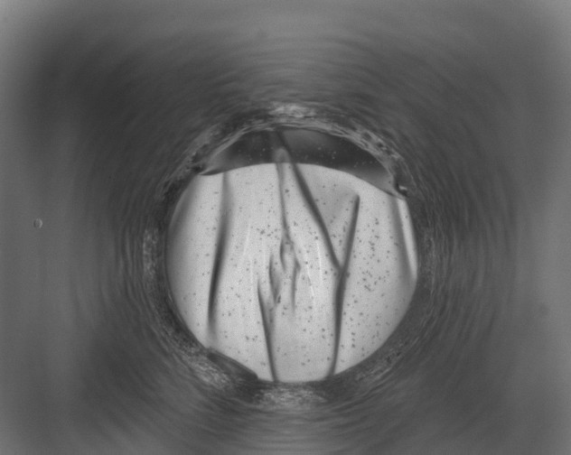 X0000081580712200702121448