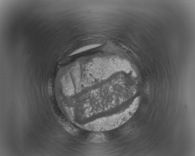 X0000081580715200702121447