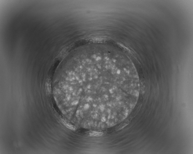 X0000081580718200702121447