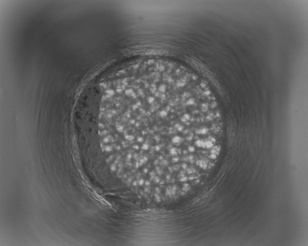 X0000081580721200702121447