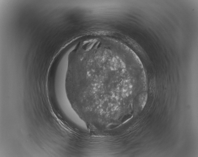 X0000081580722200702121447