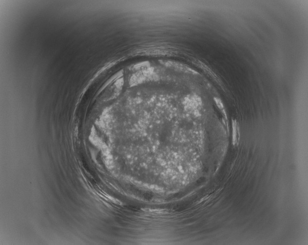 X0000081580723200702121447