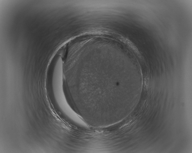 X0000081580724200702121447