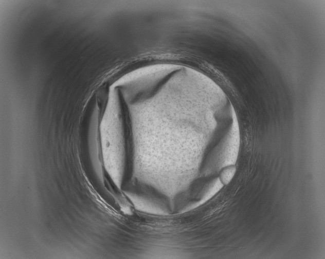 X0000081580725200702121447