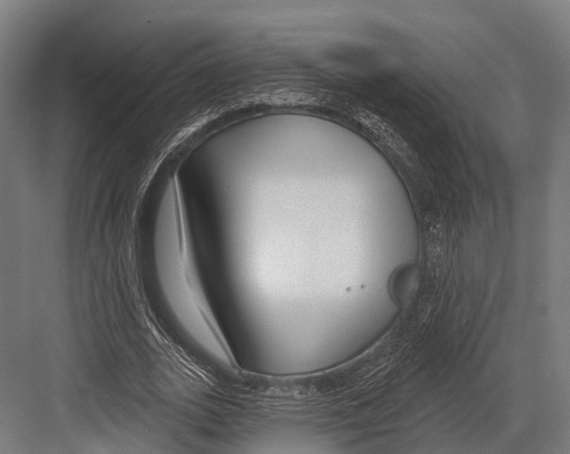 X0000081580727200702121447