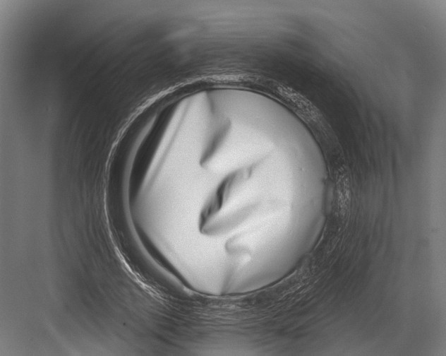 X0000081580728200702121447