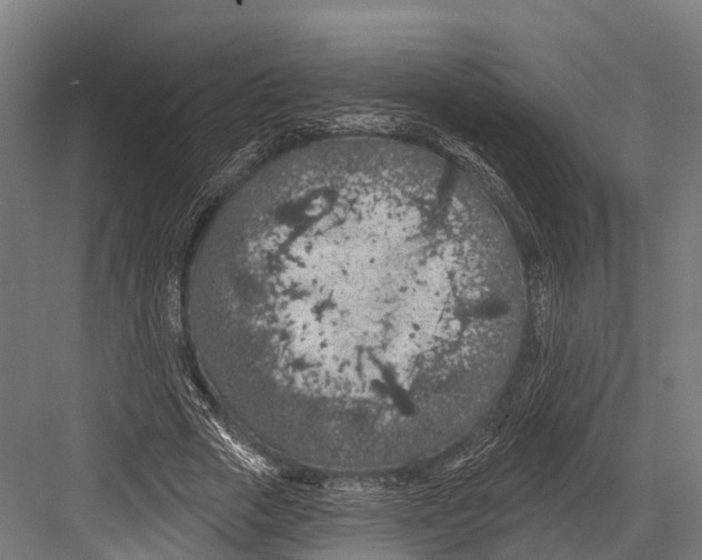 X0000081580729200702121447