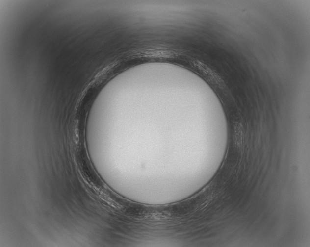 X0000081580731200702121447