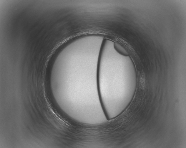 X0000081580732200702121447