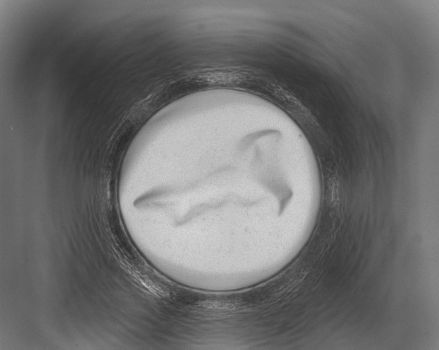 X0000081580733200702121447