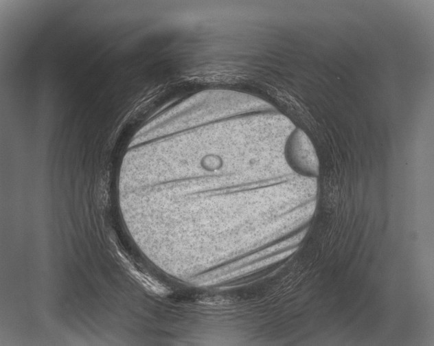 X0000081580735200702121447