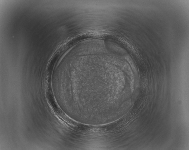 X0000081580736200702121447