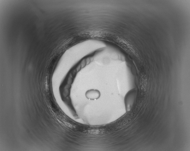 X0000081580740200702121447