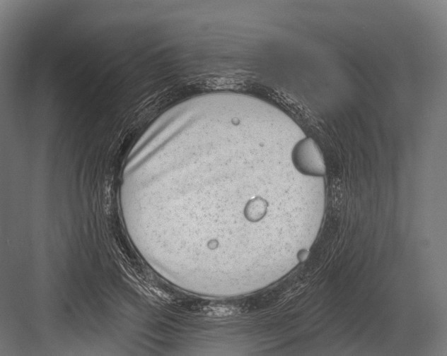 X0000081580741200702121447