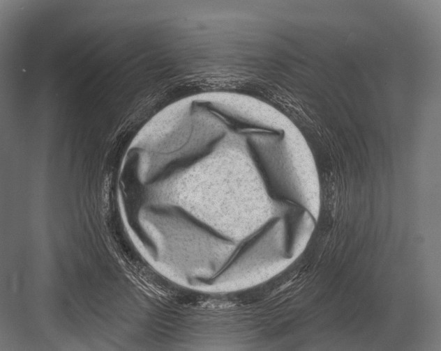 X0000081580742200702121447