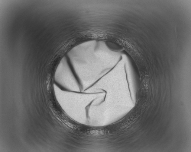 X0000081580744200702121447