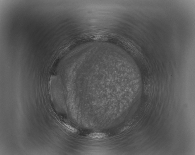 X0000081580748200702121447