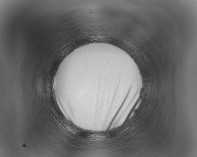 X0000081580749200702121447