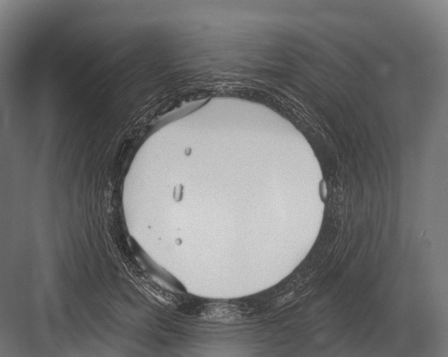 X0000081580750200702121447