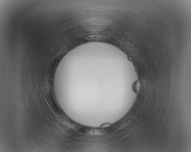 X0000081580751200702121447