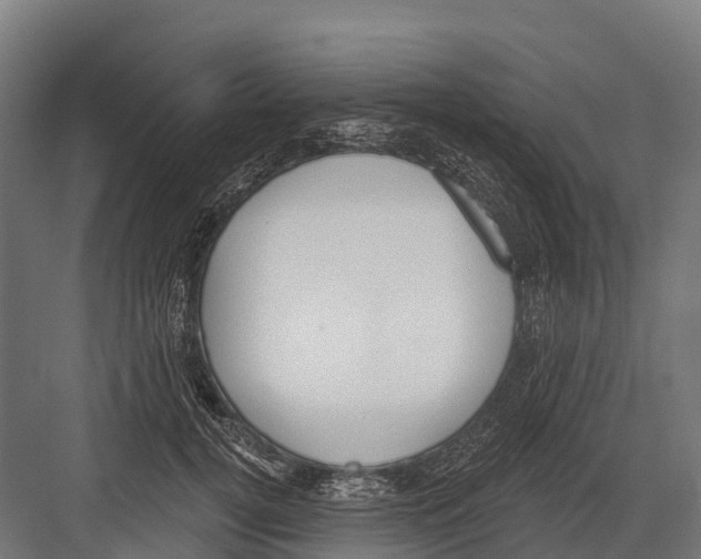 X0000081580752200702121447