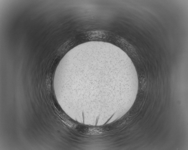 X0000081580753200702121447