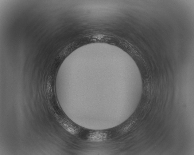 X0000081580754200702121447