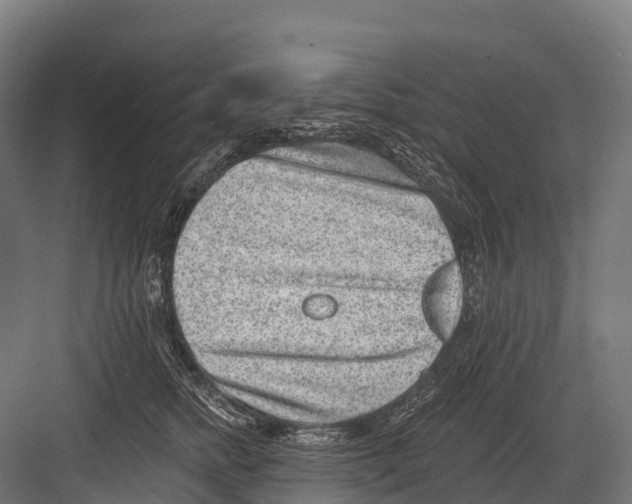 X0000081580758200702121447