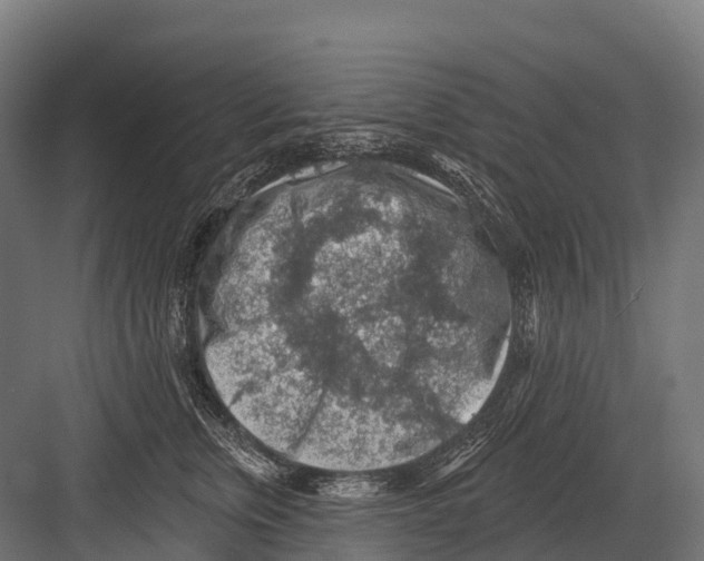 X0000081580759200702121447