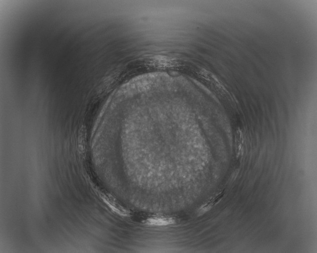 X0000081580760200702121447