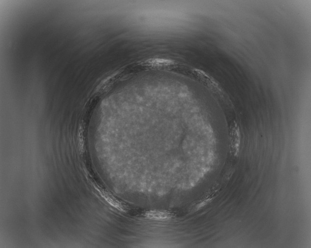 X0000081580762200702121447