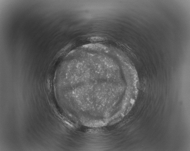 X0000081580763200702121447