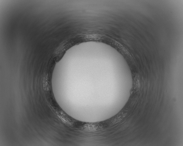 X0000081580764200702121447