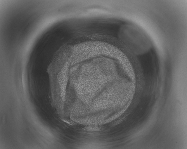 X0000081580765200702121447