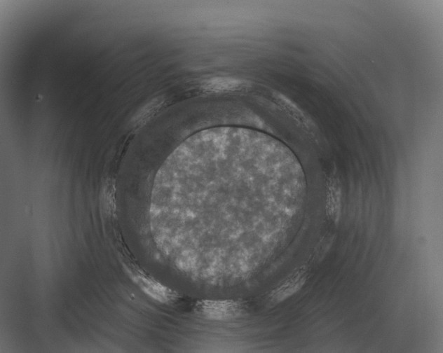 X0000081580766200702121447