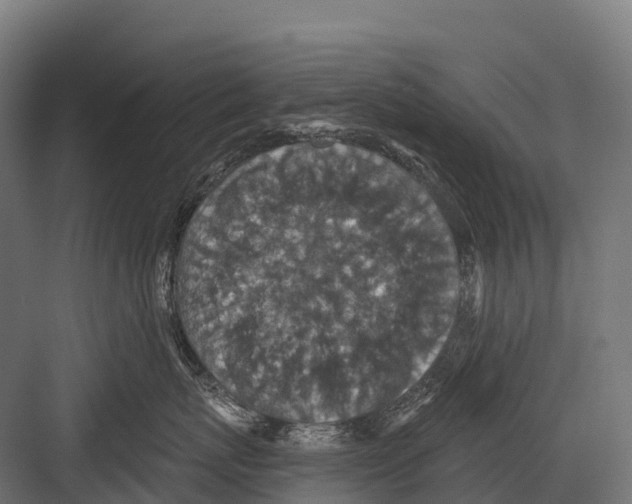 X0000081580767200702121447