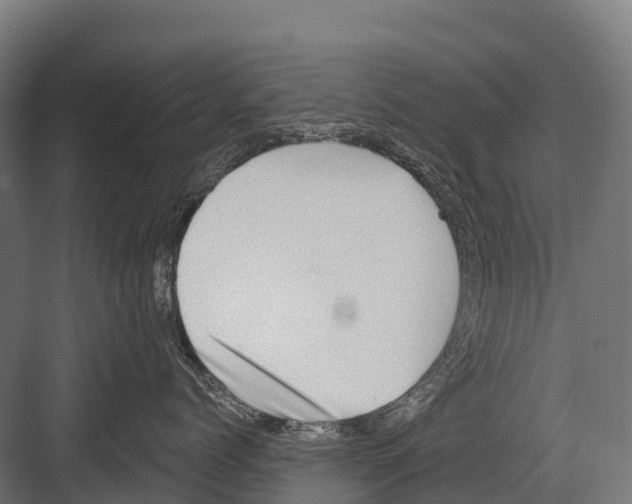 X0000081580768200702121447