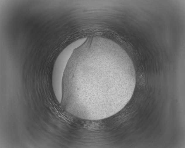 X0000081580772200702121447