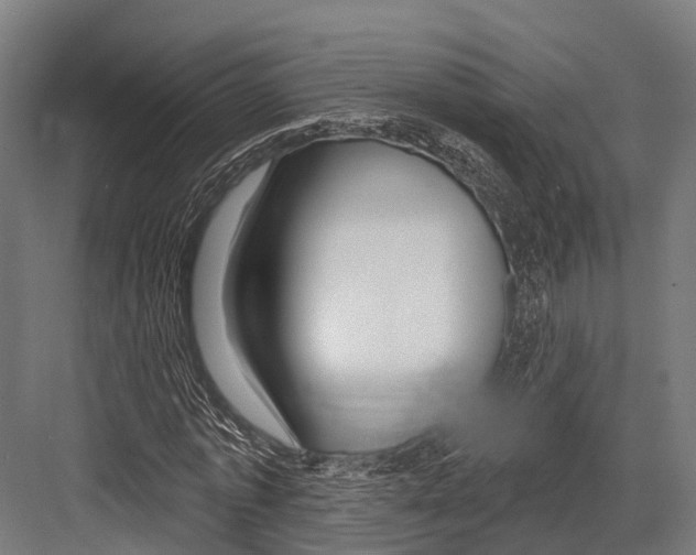 X0000081580773200702121447