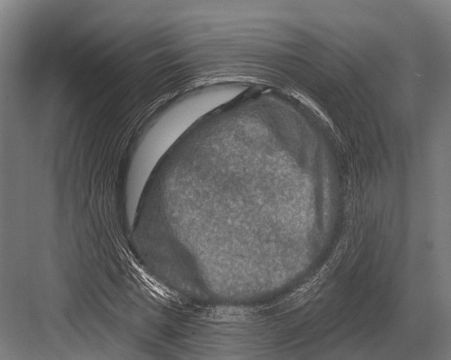 X0000081580777200702121446