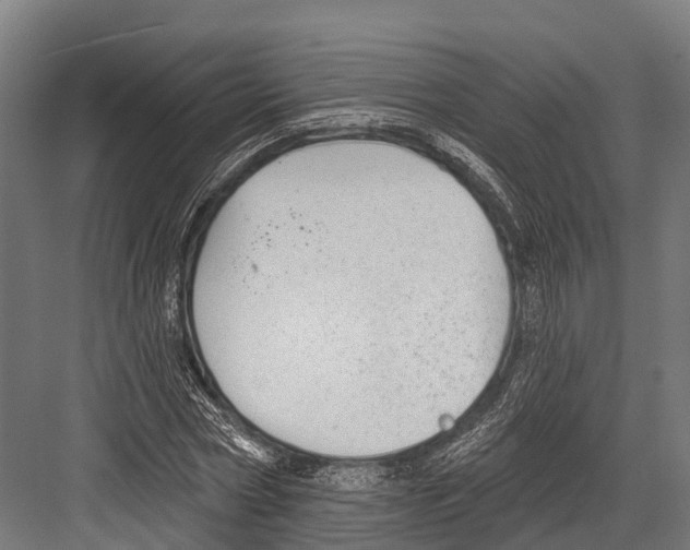 X0000081580778200702121446