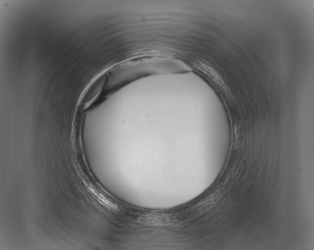 X0000081580780200702121446