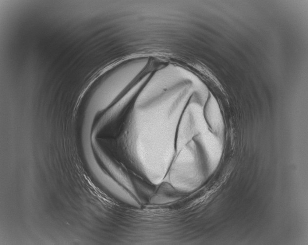 X0000081580781200702121446