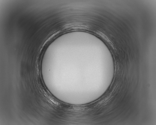 X0000081580782200702121446