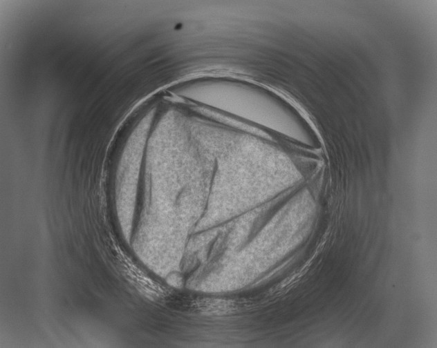 X0000081580783200702121446