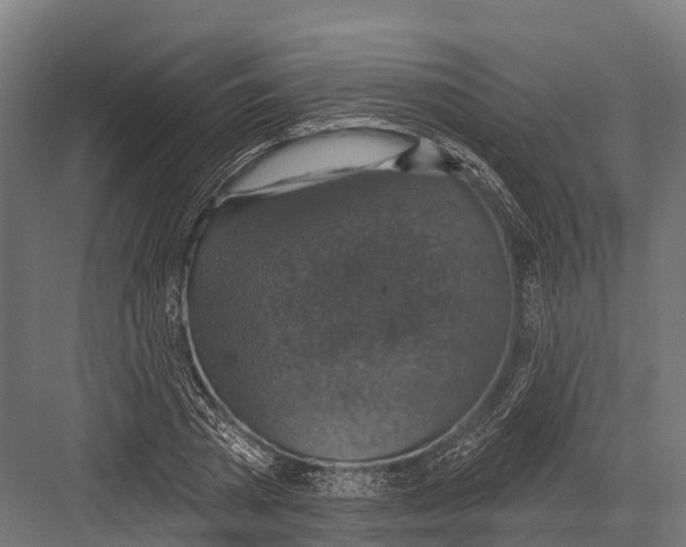 X0000081580785200702121446