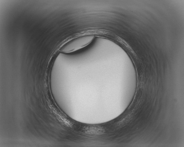 X0000081580786200702121446